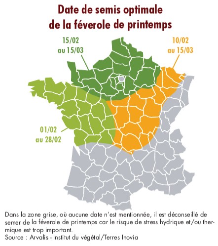 Fichier:Dates de semis optimales de féverole de printemps.jpg