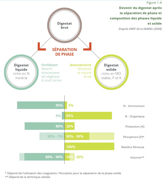 Devenir du digestat après séparation de phase
