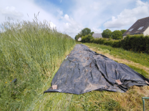 Fichier:Occultation à la ferme Espérance.png