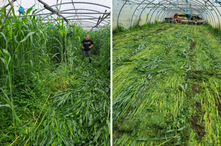 Fichier:CV à la ferme des Gobettes.png