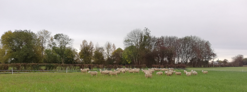 Fichier:Détruire couverts.png