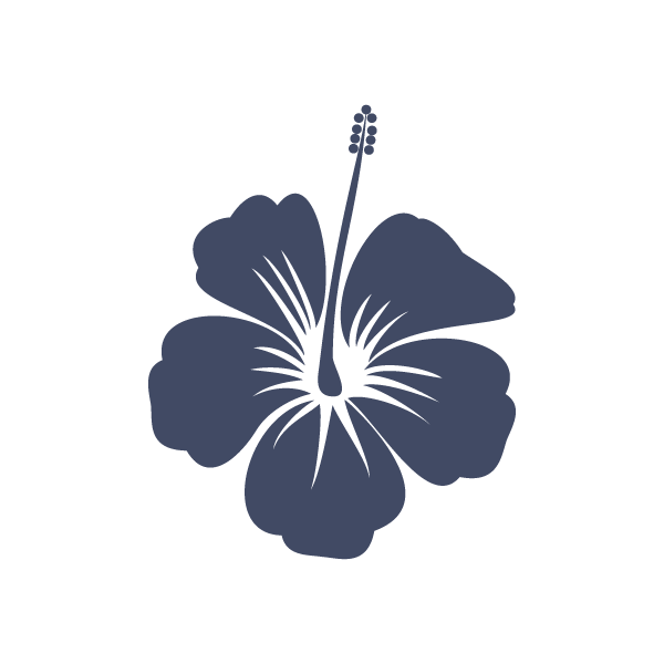 Fichier:Hibiscus.png