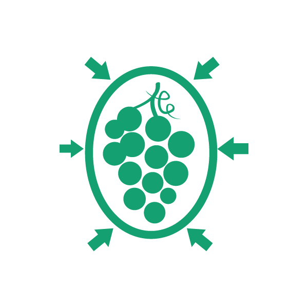 Fichier:Protection en viticulture - Portail.png