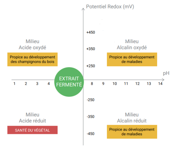 Fichier:ExtraitsFermentes Redox.png