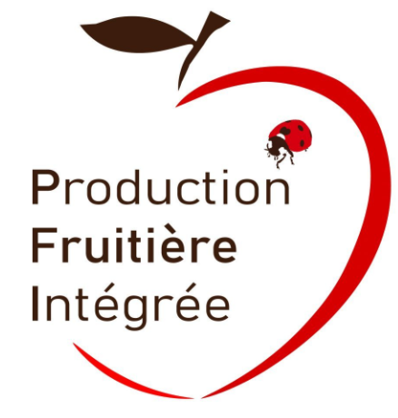 Fichier:Logo PFI.png