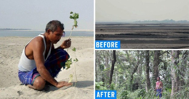 Fichier:Reforestation Inde.jpg
