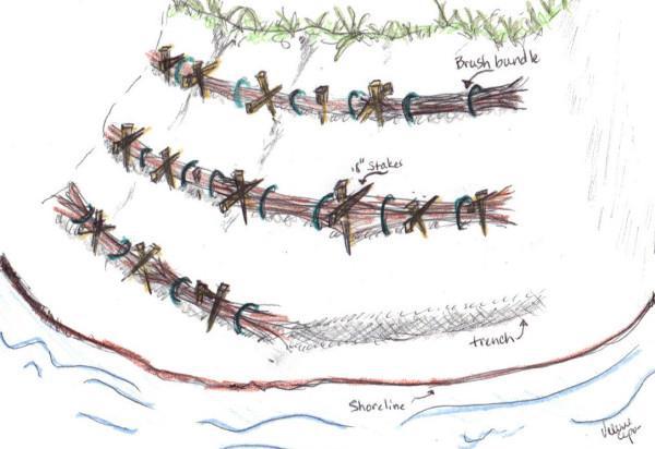Fichier:Hydrologie régénérative - Fascines (2).jpg