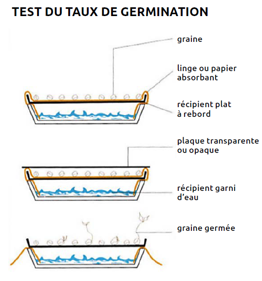 Fichier:Test taux de germination.png