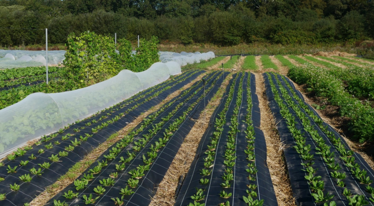 Fichier:Illustration Formation fm-ma-itin1.jpg