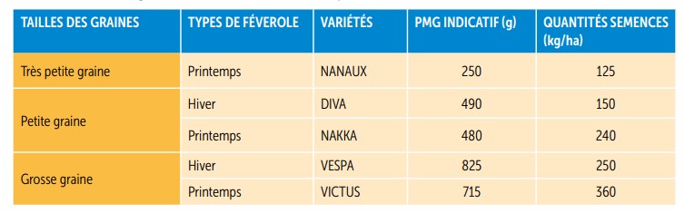 Fichier:Taille des graines des variétés de semences.jpg