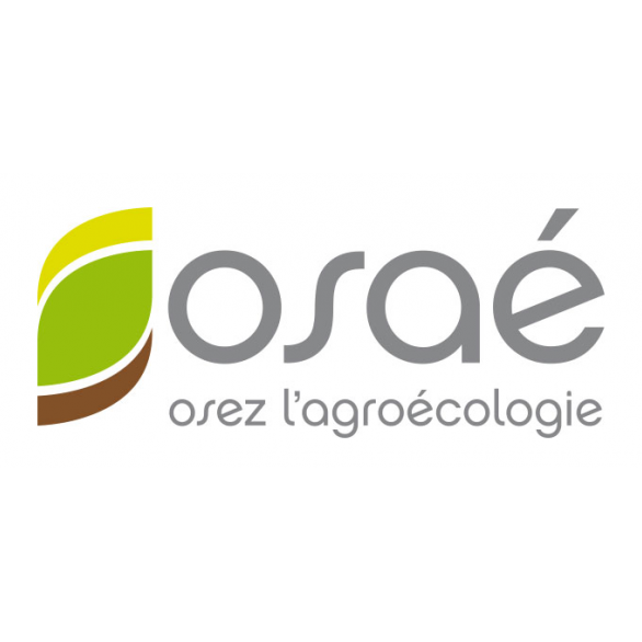 Fichier:Logo Osaé Carré.png