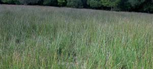 File:Paturajuste clarifier ses objectifs.jpg