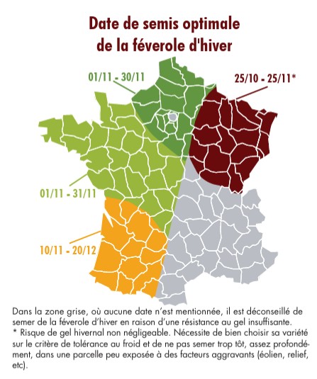 Fichier:Dates de semis optimales de féverole d'hiver.jpg
