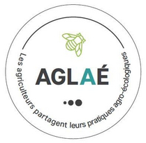 Fichier:Logo Aglae.png