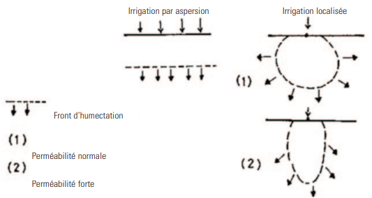 Schéma théorique des fronts d’avancement de l’eau dans le sol en fonction du système d’irrigation et de la perméabilité du sol.