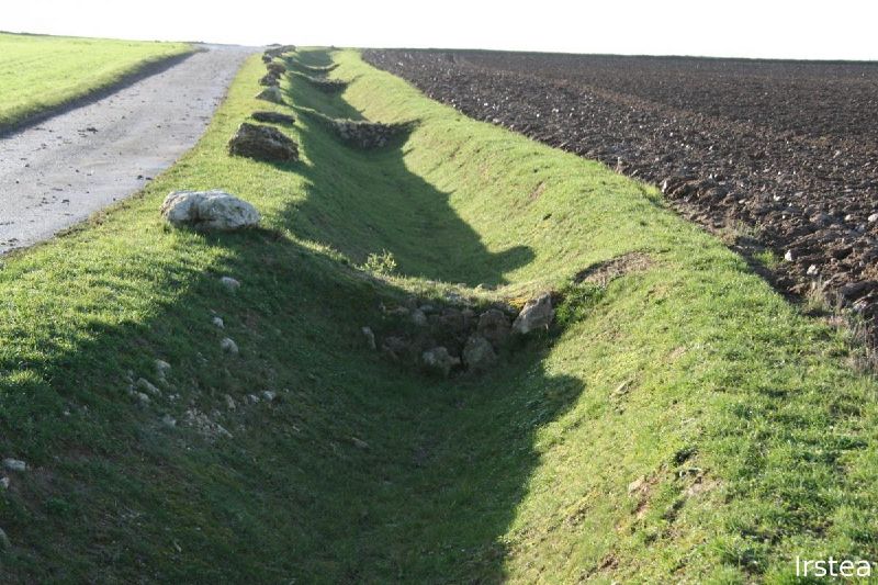 File:Fossé enherbé.jpg