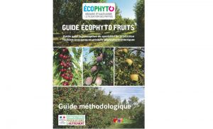 Image Guide Fruits Conception de syst mes de production fruiti re.jpg
