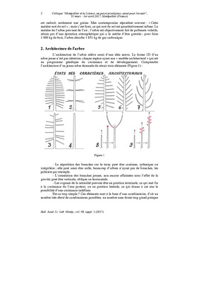 Fichier:Francis Hallé - Des données récentes sur les arbres.pdf