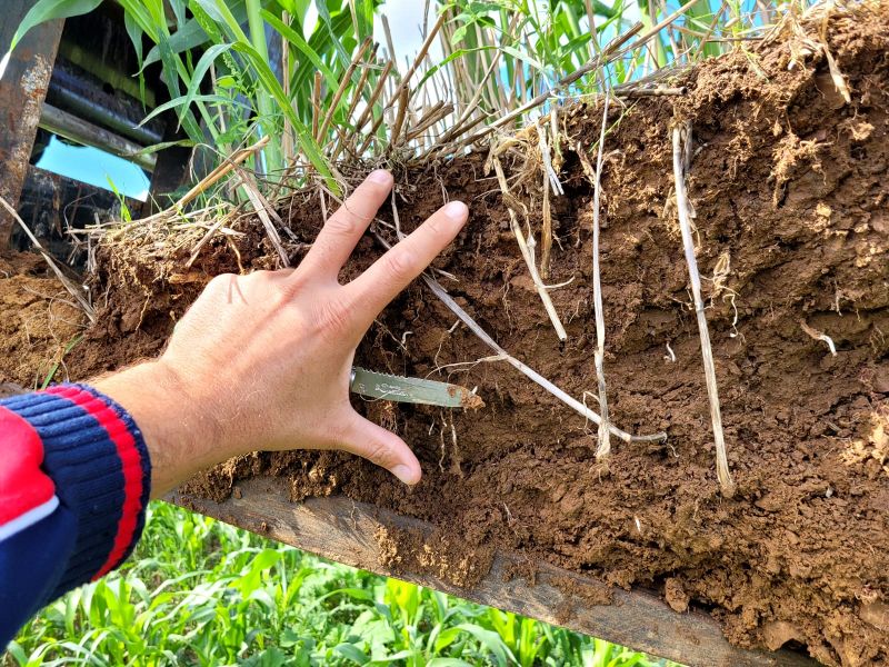 Fichier:Sol6 Saboureau.jpg