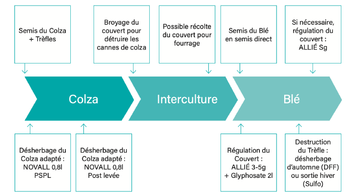 Associations de cultures en Haut de France 14.png