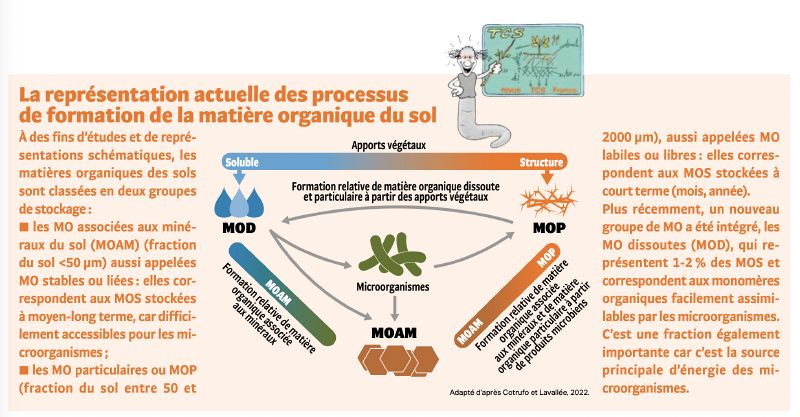 File:Encadré2 TCS.jpg