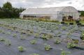 Photo ferme Magnyfestante