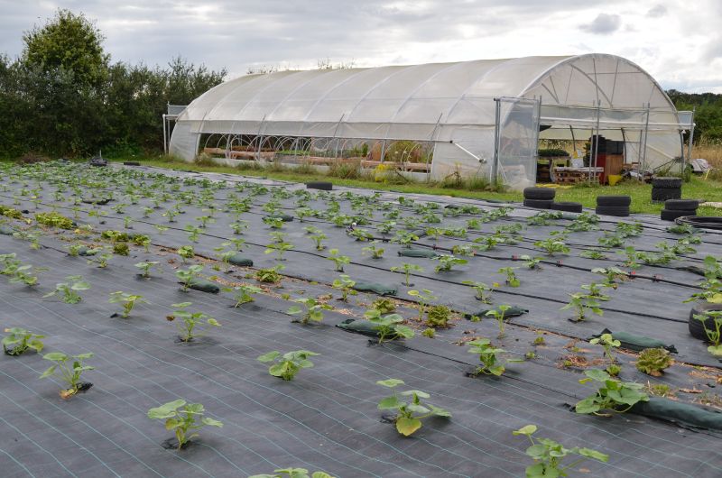 Fichier:Photo ferme Magnyfestante.jpg