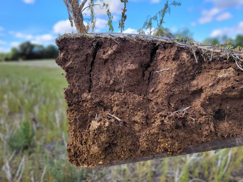 Fichier:Sol4 Saboureau.jpg