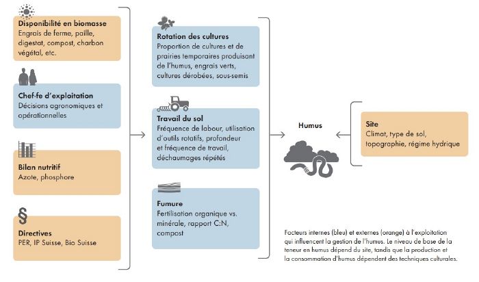 Humification – maintenir et améliorer la fertilité du sol — Triple ...