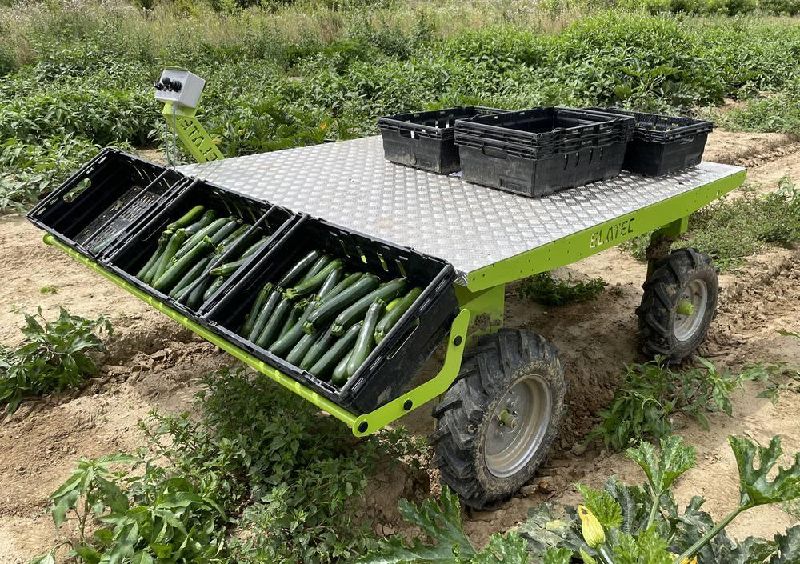 Fichier:Elatec SAM.jpg