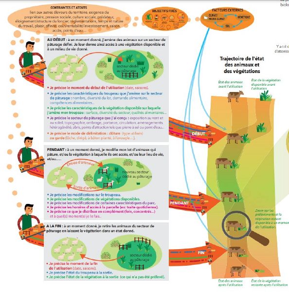 File:Paturajuste preciser composantes pratiques.jpg