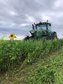Vignette pour la version du 16 septembre 2026 à 13:07