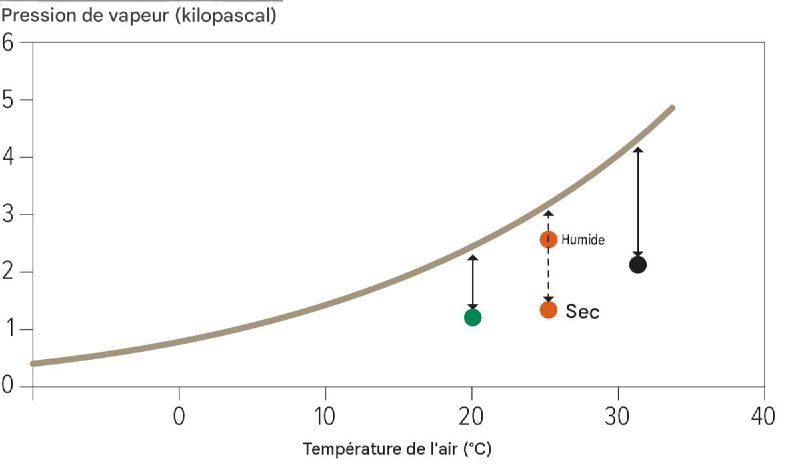 Fichier:Pression de vapeur.jpg