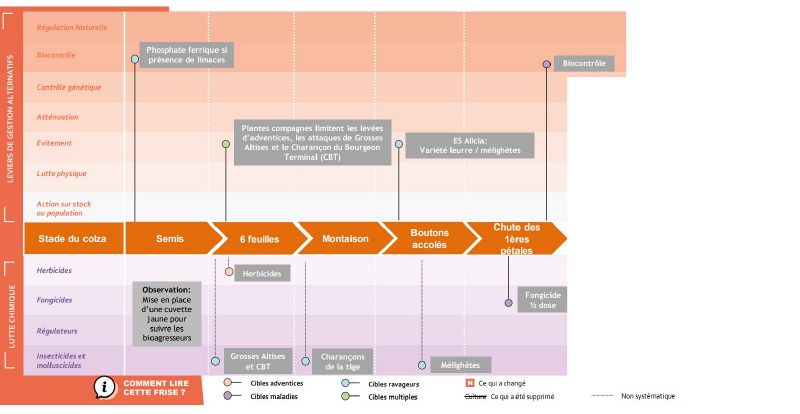Fichier:Dephy colza itk.jpg