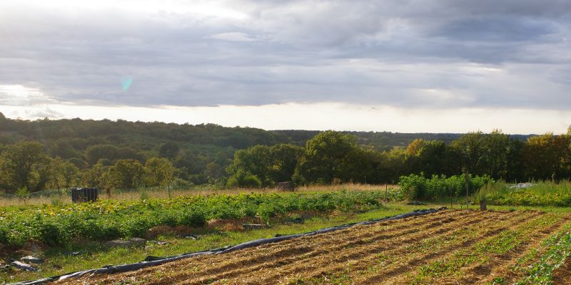 Fichier:Photo champ des Melés.jpg