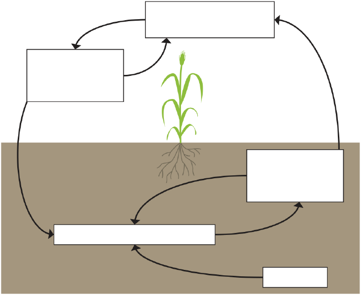 Fichier:Water-smart-farming-manual-grdc-20260217.pdf 10.png