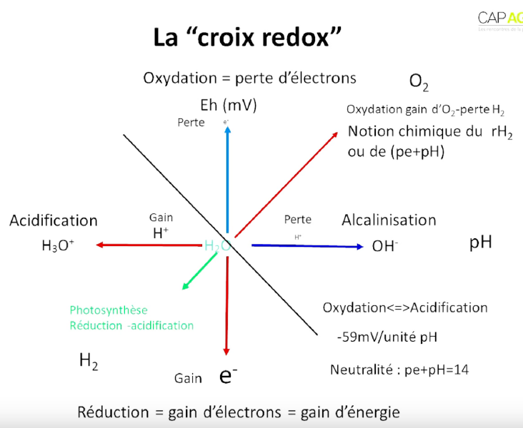 Fichier:Redox croix redox.png