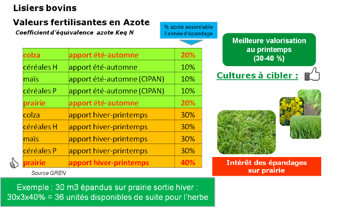 Valeurs fertilisantes en azote - Lisier de bovins.png