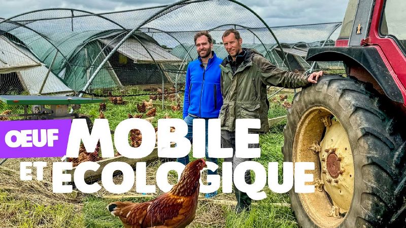 Fichier:Thumbnail youtube gqt1smoQA9A.jpg