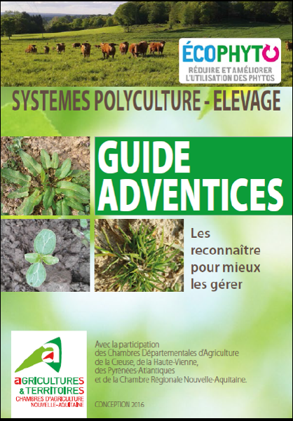 Fichier:Image Reconnaissance adventices en Polyculture levage.png