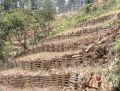Bamboo-fencing-on-a-slope-the-posts-pegs-are-live-bamboo-that-will-sprout-to-provide