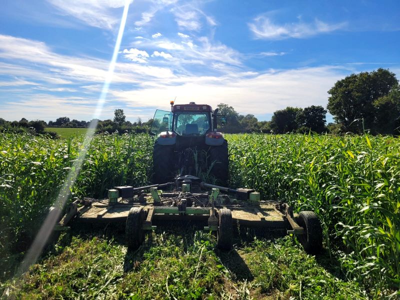 Fichier:Moisson2 Saboureau.jpg