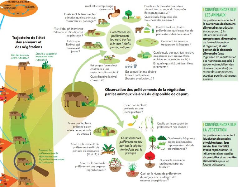 File:Paturajuste preciser consequences prelevements.jpg