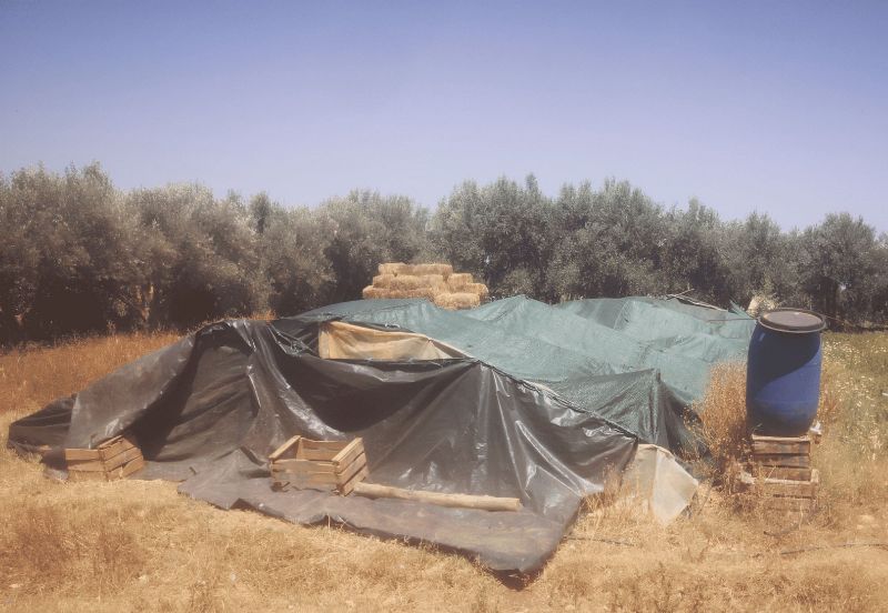 Fichier:Abris culture Azolla.jpg