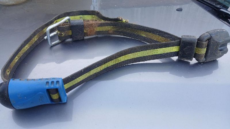 Fichier:Collier detection chaleur.jpg