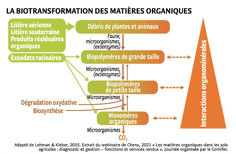 File:Schéma TCS.jpg