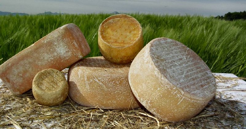 Fichier:Couderc Fromages.jpg