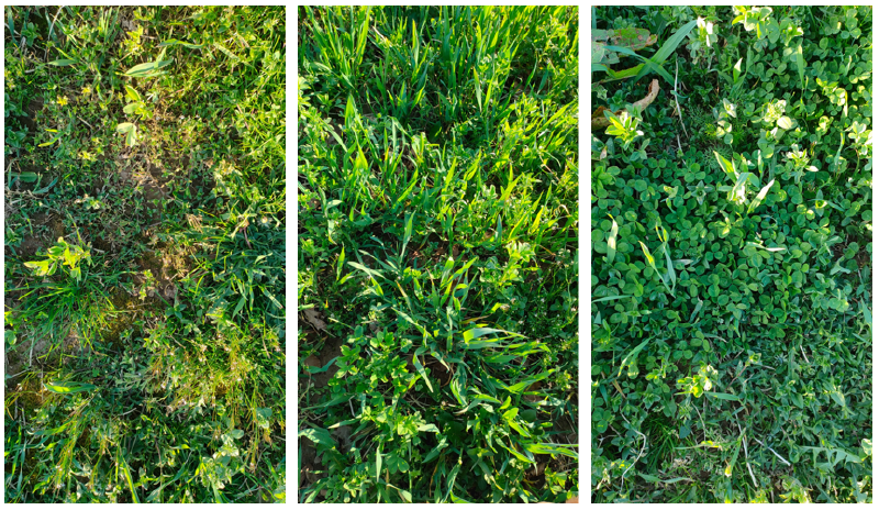 Fichier:Photo parcelle.png