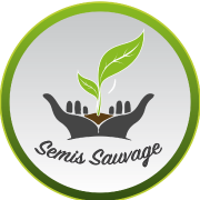 Semis Sauvage.png
