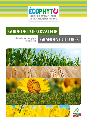 Fichier:Surveillance biologique du territoire - guide de l’observateur grandes cultures (2015).pdf
